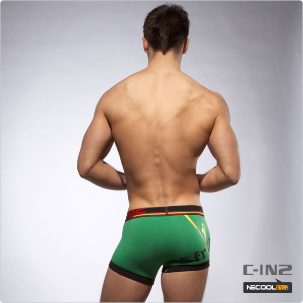 C-IN2,ʿƽڿ,1355,1453,ʿڿ