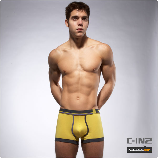 C-IN2,ʿƽڿ,1354,1453,ʿڿ
