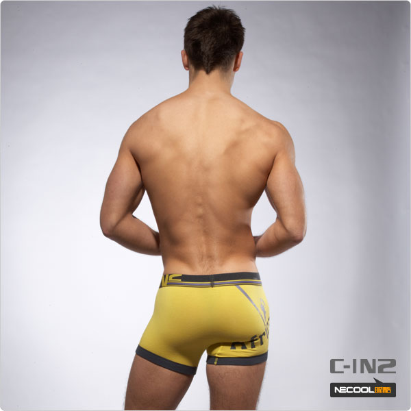 C-IN2,ʿƽڿ,1354,1453,ʿڿ