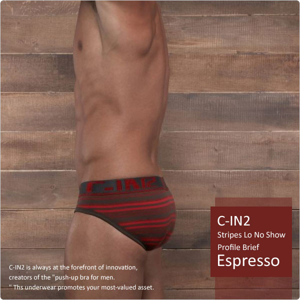 C-IN2,Ųƴʿڿ,2463,1513,ʿڿ