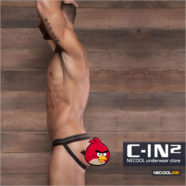 C-IN2,ά͸ο,3286,3226,ʿڿ