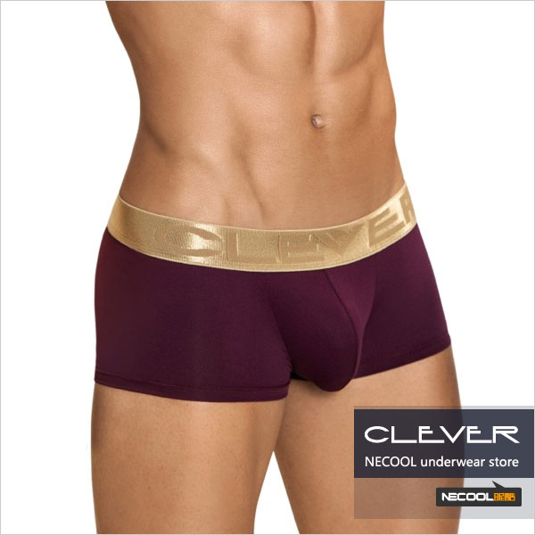 clevermoda,ߵʿƽڿ,3767,2186,ʿڿ