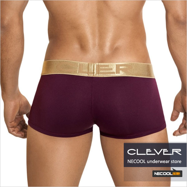 clevermoda,ߵʿƽڿ,3767,2186,ʿڿ