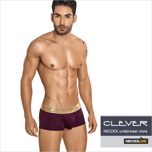 clevermoda,ߵʿƽڿ,3767,2186,ʿڿ