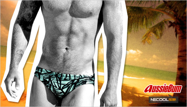 Ĵԭװ AussieBum,ӡϵӾ,4026,palm,ʿڿ