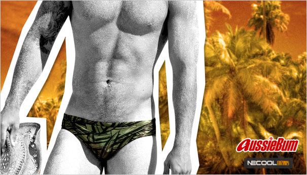 Ĵԭװ AussieBum,ӡϵӾ,4026,palm,ʿڿ