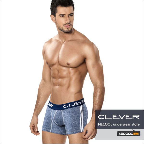 clevermoda,ߵU͹Ҵƽڿ,4193,2207,ʿڿ