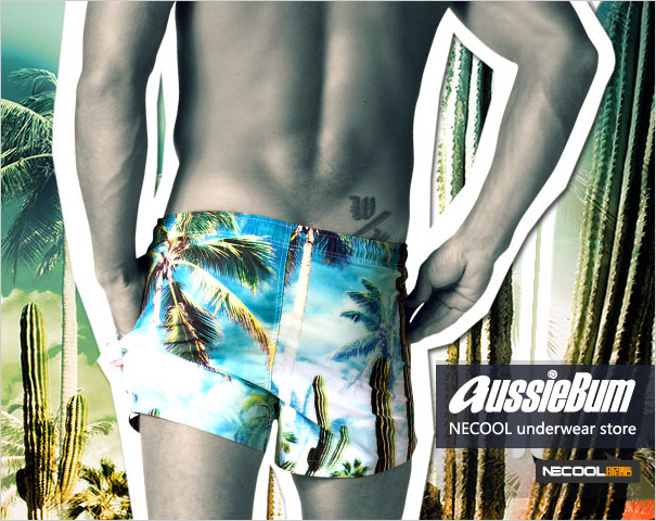 Ĵԭװ AussieBum,ʱʿж̿,4332,SPRINGBREAK,ʿڿ