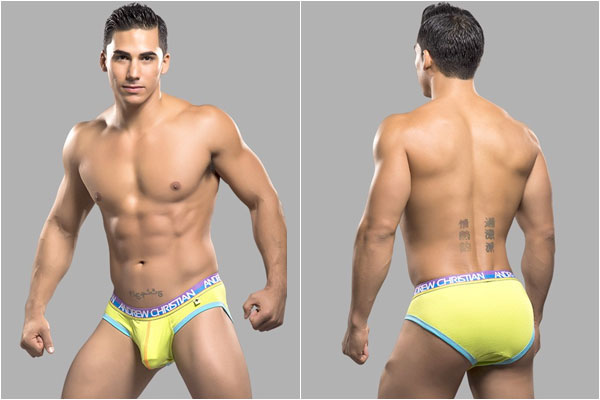 美国原装进口 AndrewChristian,弹力棉男士三角内裤,4897,9795,男士内裤