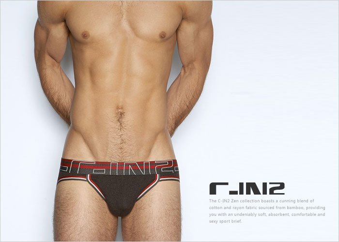 C-IN2,͸ʿڿ,5310,3214-FW15,ʿڿ