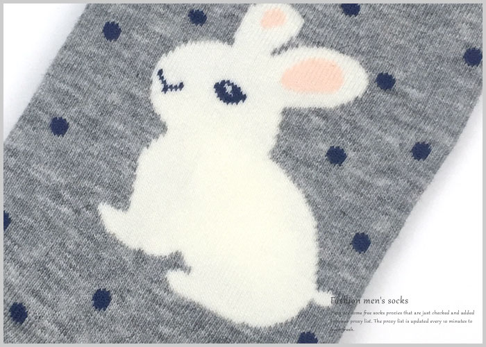 seeinto,2˫װ ߵ͸,5575,5575,ʿڿ