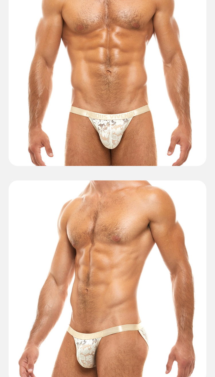 ModusVivendi,蕾丝透视高叉三角裤,13086,mv04112,男士内裤