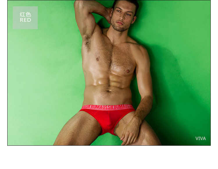 澳大利亚原装进口 AussieBum,舒适棉男士三角内裤,7319,Viva,男士内裤