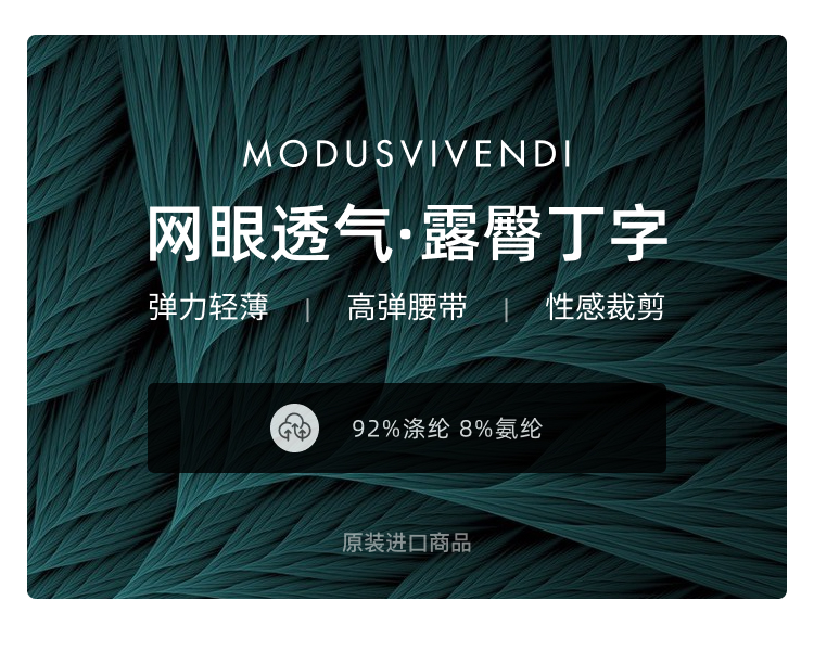 ModusVivendi,性感网眼丁字裤,13503,mv06114,男士内裤