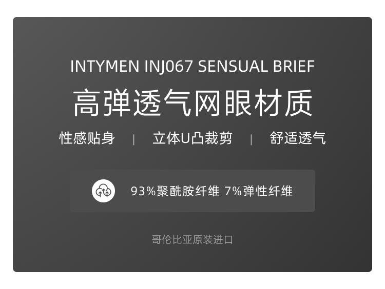 美国 IntyMen,性感网眼三角内裤,13998,INJ067,男士内裤