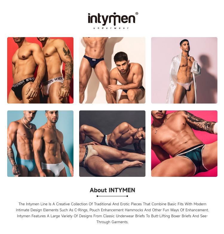 美国 IntyMen,性感低腰男士三角内裤,14291,INJ076,男士内裤