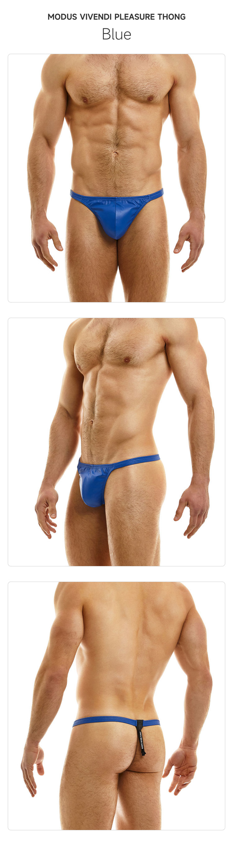 ModusVivendi,性感仿皮丁字裤,14641,mv22222,男士内裤