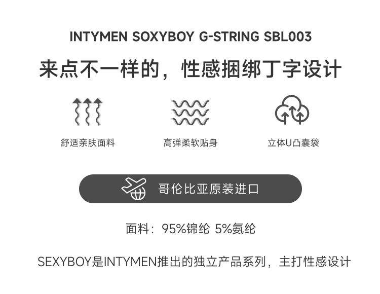 美国 IntyMen,性感透视纱网丁字裤,14913,SBL003,男士内裤