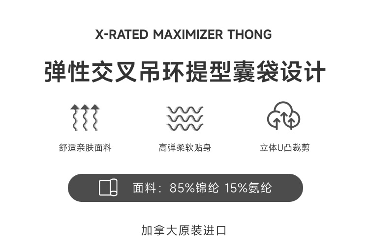 Gregg Homme,支撑囊袋丁字裤,15051,85004,男士内裤
