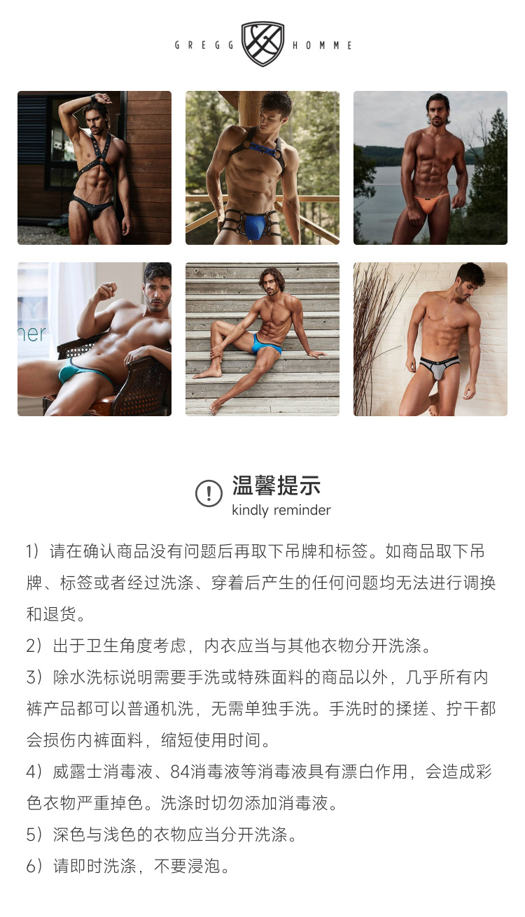 Gregg Homme,支撑囊袋丁字裤,15051,85004,男士内裤