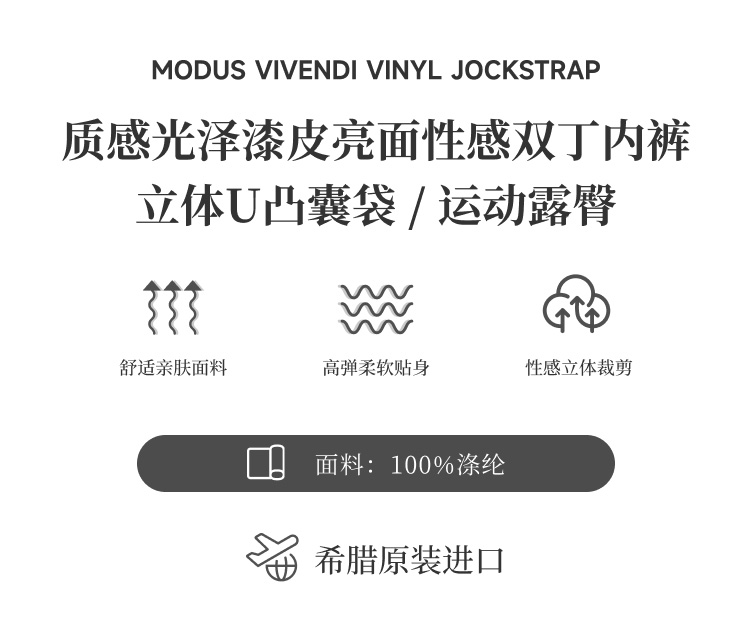 ModusVivendi,性感漆皮双丁内裤,15317,mv08011,男士内裤