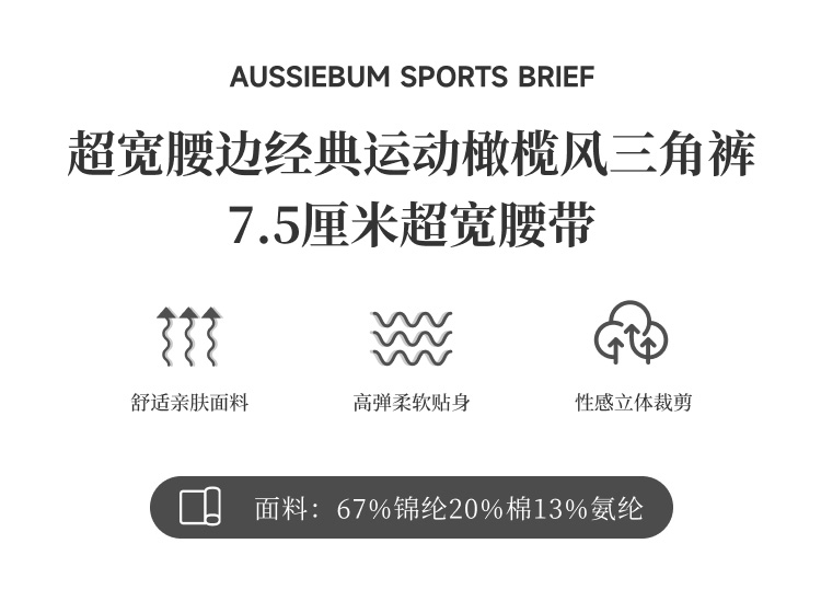 澳大利亚原装进口 AussieBum,经典运动三角内裤,14060,cj_brief,男士内裤