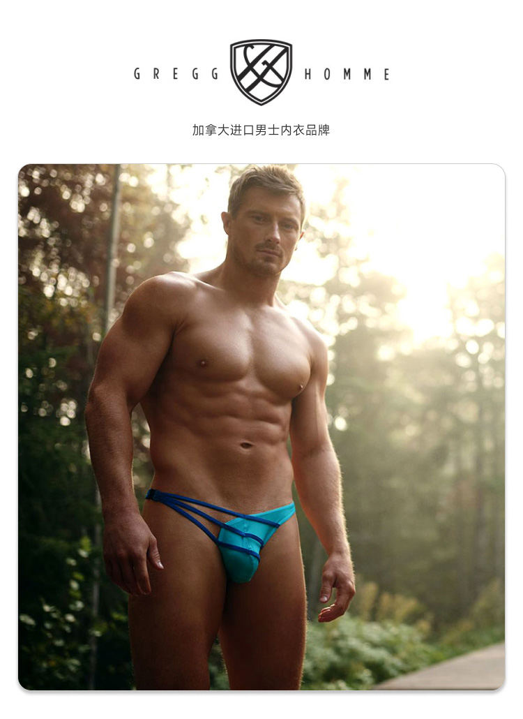 Gregg Homme,镂空搭扣丁字裤,15622,200204,男士内裤