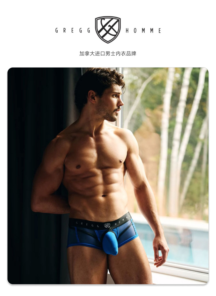 Gregg Homme,吊环透视三角内裤,15637,140003,男士内裤