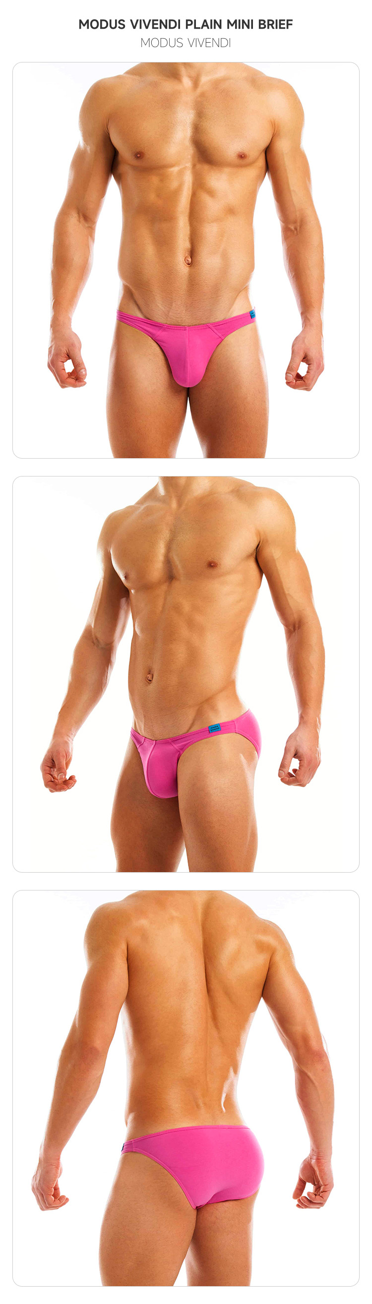 modusvivendi,经典低腰性感三角内裤,7137,mv11112,男士内裤
