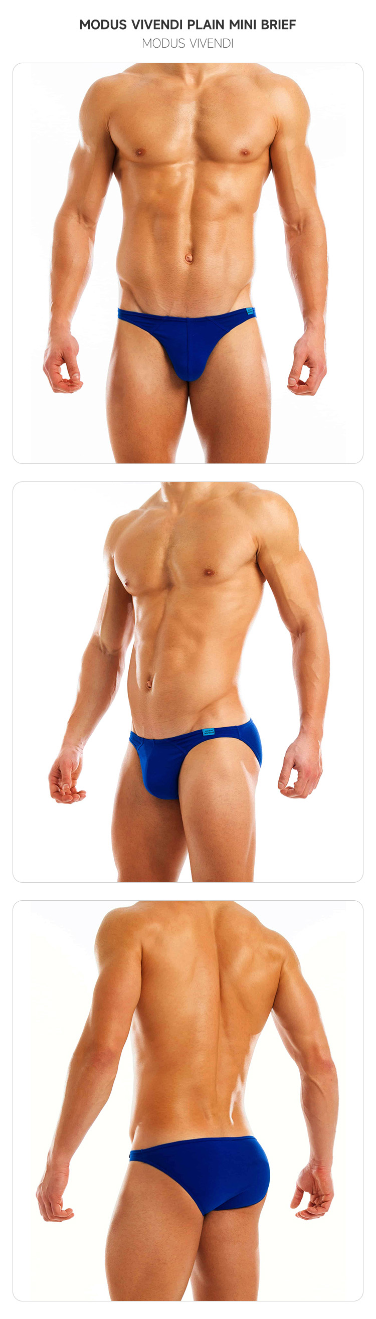 modusvivendi,经典低腰性感三角内裤,7137,mv11112,男士内裤