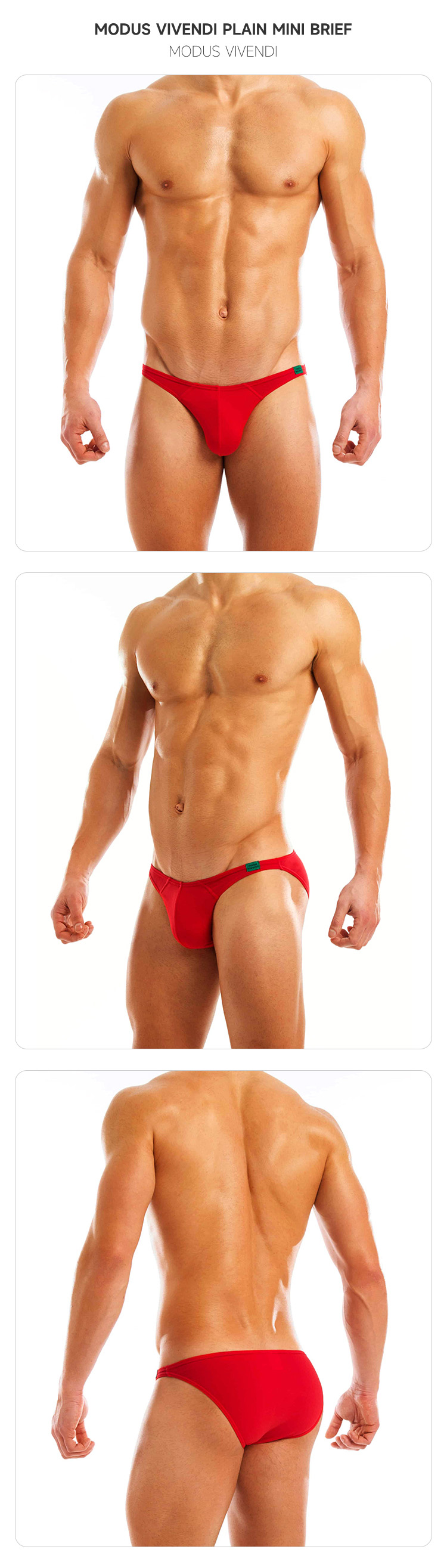 modusvivendi,经典低腰性感三角内裤,7137,mv11112,男士内裤