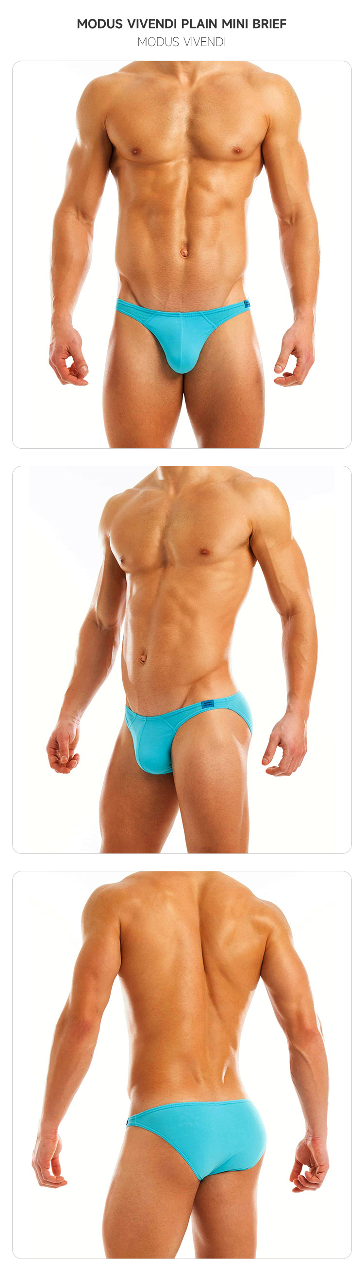 modusvivendi,经典低腰性感三角内裤,7137,mv11112,男士内裤
