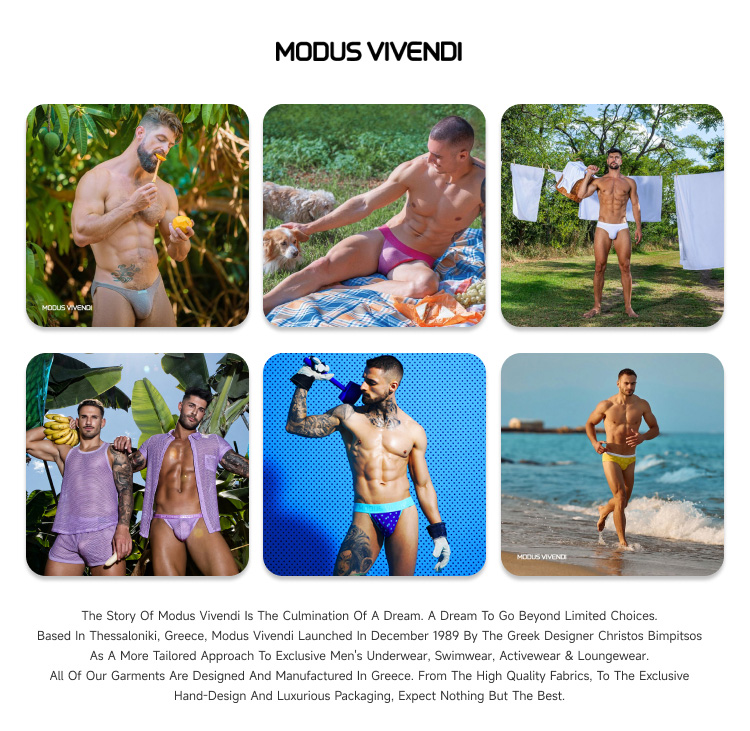 ModusVivendi,性感修身三角内裤,15890,04016-3,男士内裤