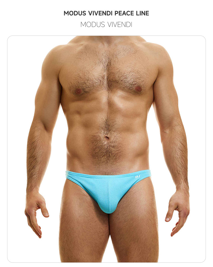 ModusVivendi,性感修身三角内裤,15890,04016-3,男士内裤
