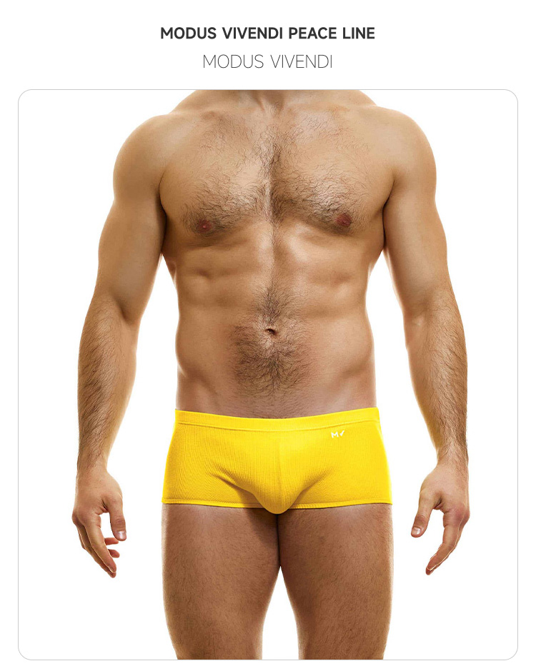 ModusVivendi,性感舒适平角内裤,15907,04022-2,男士内裤