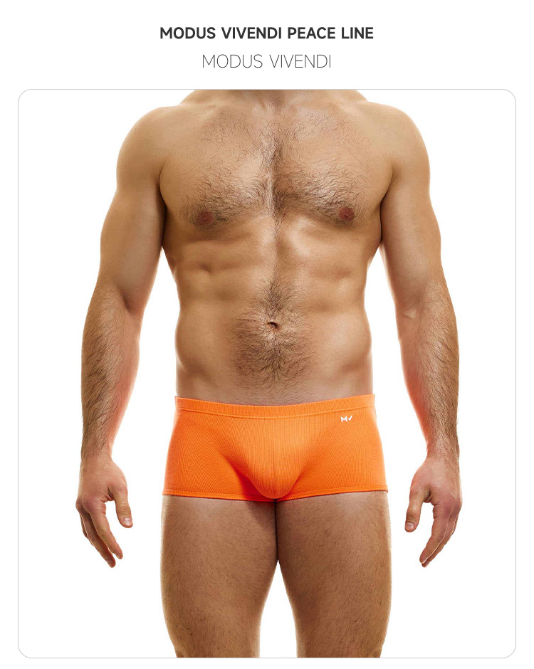 ModusVivendi,性感舒适平角内裤,15907,04022-2,男士内裤