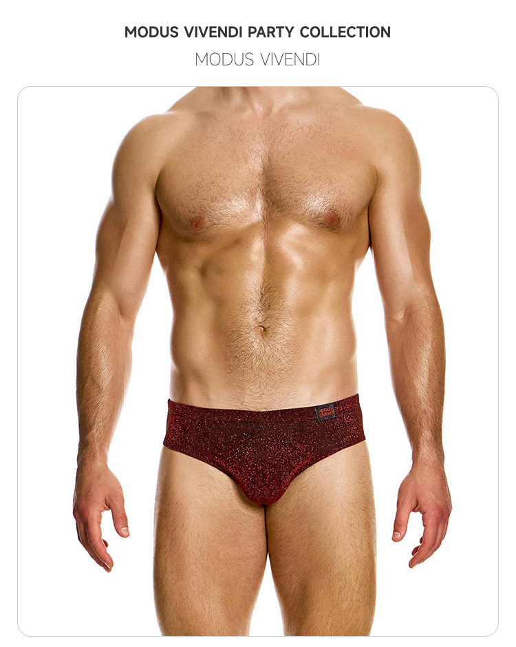 ModusVivendi,性感三角内裤,15937,26315,男士内裤