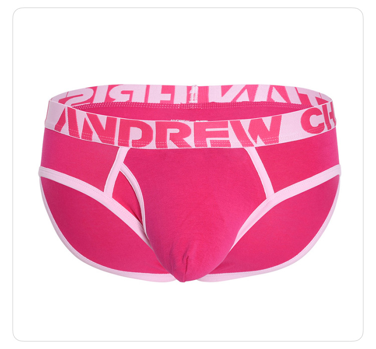美国原装进口 AndrewChristian,性感棉质三角内裤,16358,93241,男士内裤