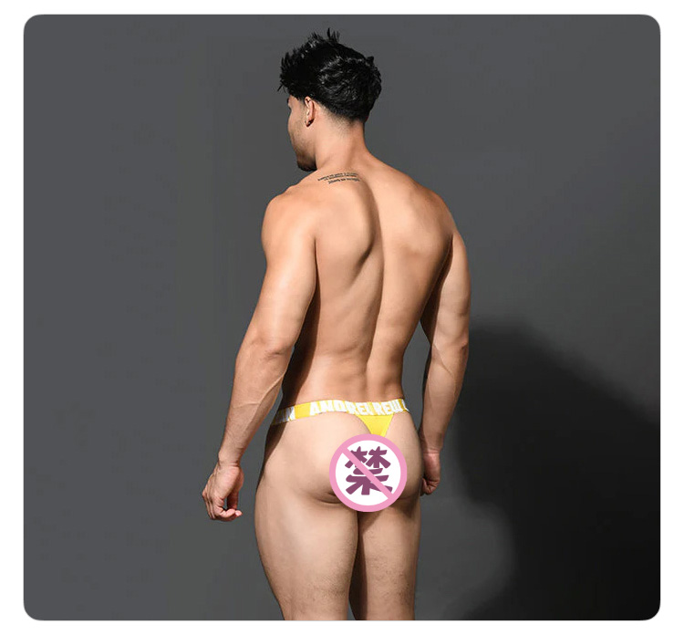 美国原装进口 AndrewChristian,轻薄高弹丁字裤,16645,93374,男士内裤