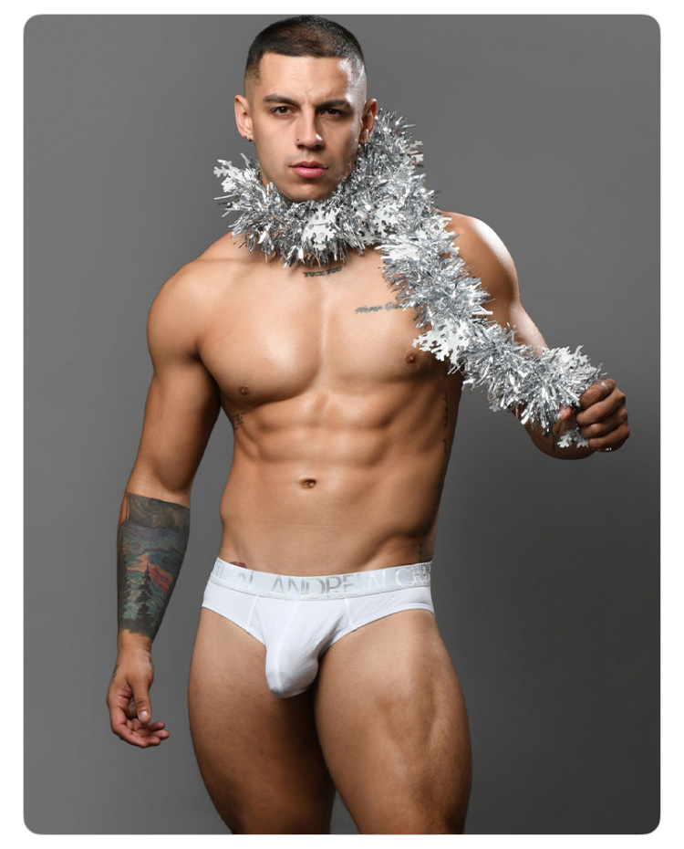 美国原装进口 AndrewChristian,莫代尔三角内裤,16785,93416,男士内裤