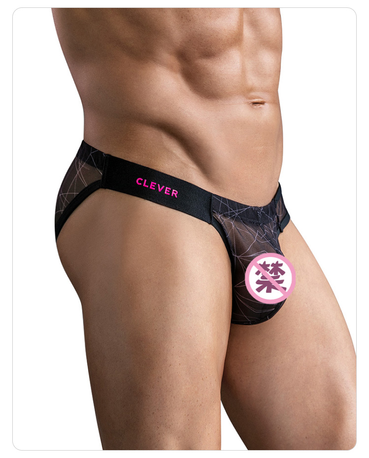 clevermoda,纱网透视三角内裤,17079,CL1747,男士内裤