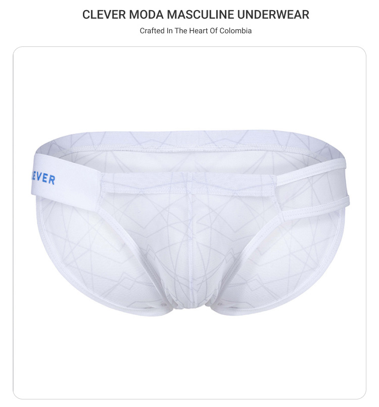 clevermoda,纱网透视三角内裤,17079,CL1747,男士内裤