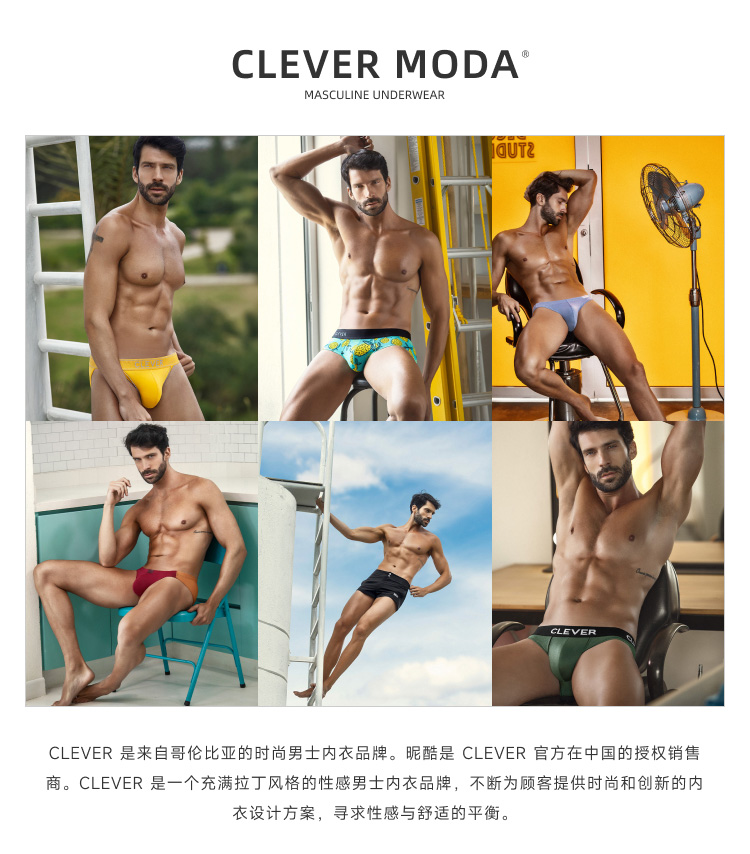 clevermoda,纱网透视三角内裤,17079,CL1747,男士内裤