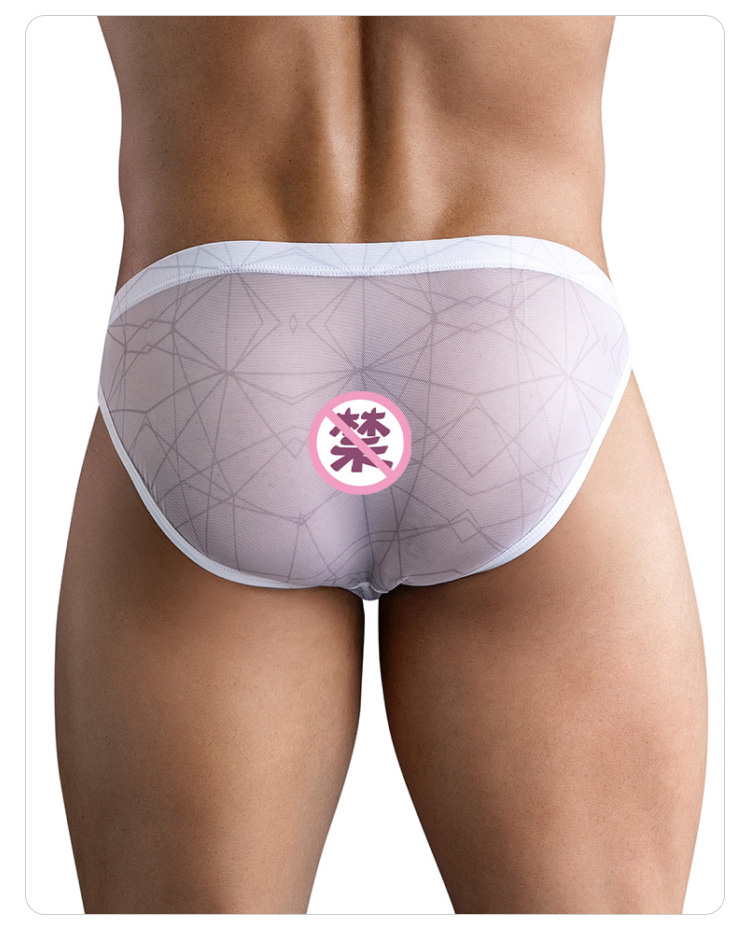 clevermoda,纱网透视三角内裤,17079,CL1747,男士内裤
