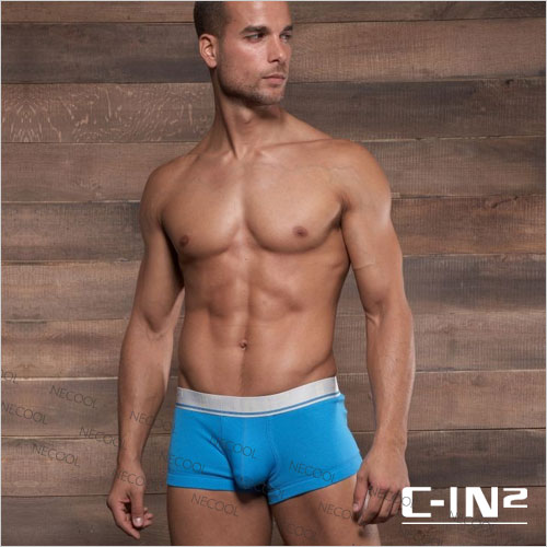 c-in2 ʿڿ ƽ 