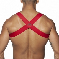 Ʒţ11010SPIDER HARNESS