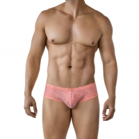 ��Ʒ��ţ�17828��˫��ɴ�������ڿ�