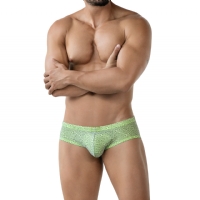 ��Ʒ��ţ�17829��˫��ɴ�������ڿ�