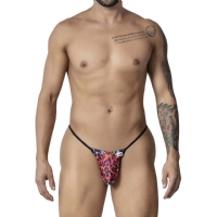 ��Ʒ��ţ�18115�������Ըж��ֿ�