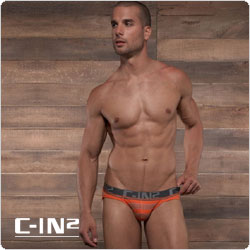 C-IN2&nbsp;&nbsp;1514